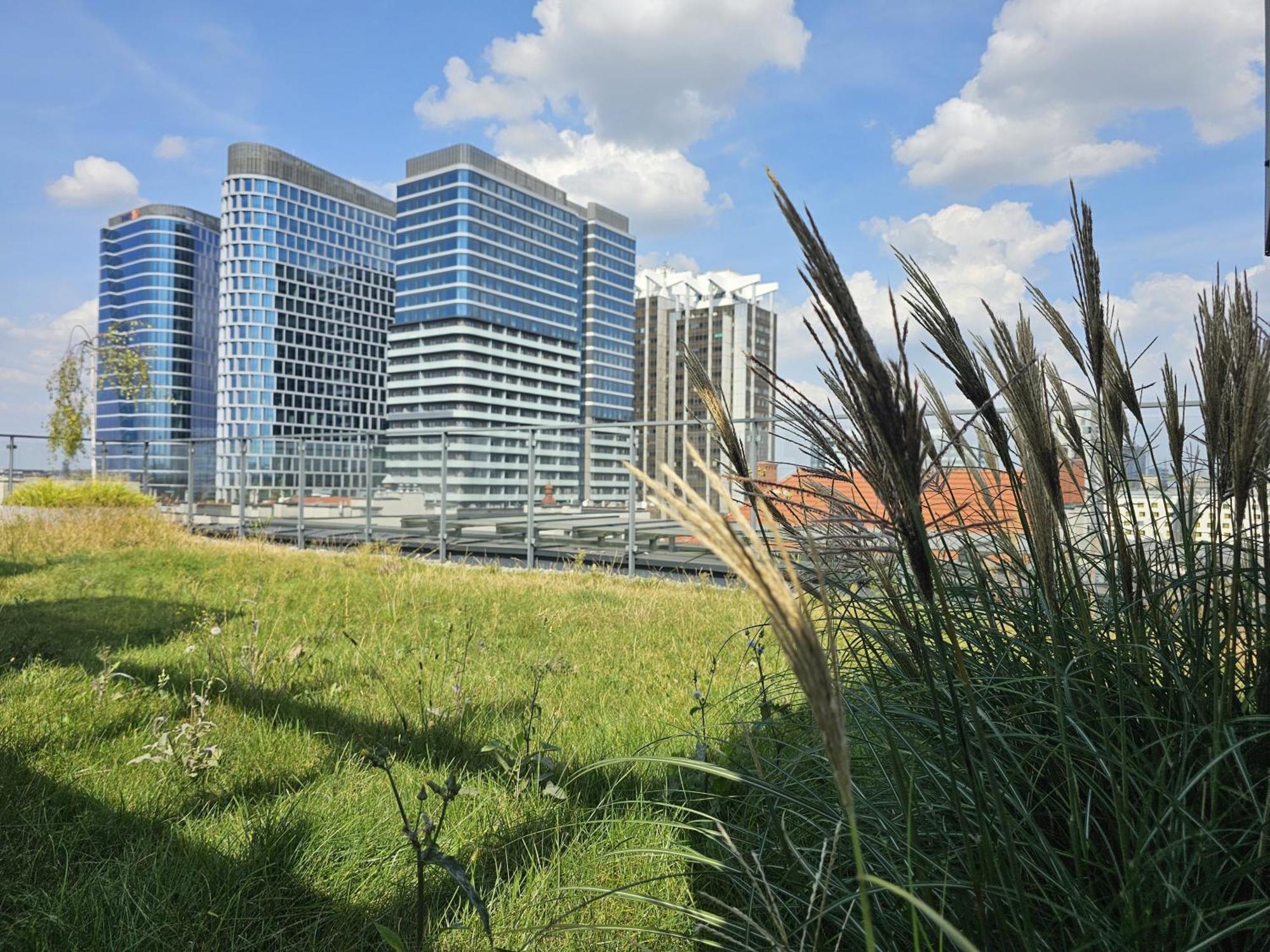 Urban Apartments Premium, Opolska 10 No 80, Free Garage, Self Check-In 카토비체 외부 사진